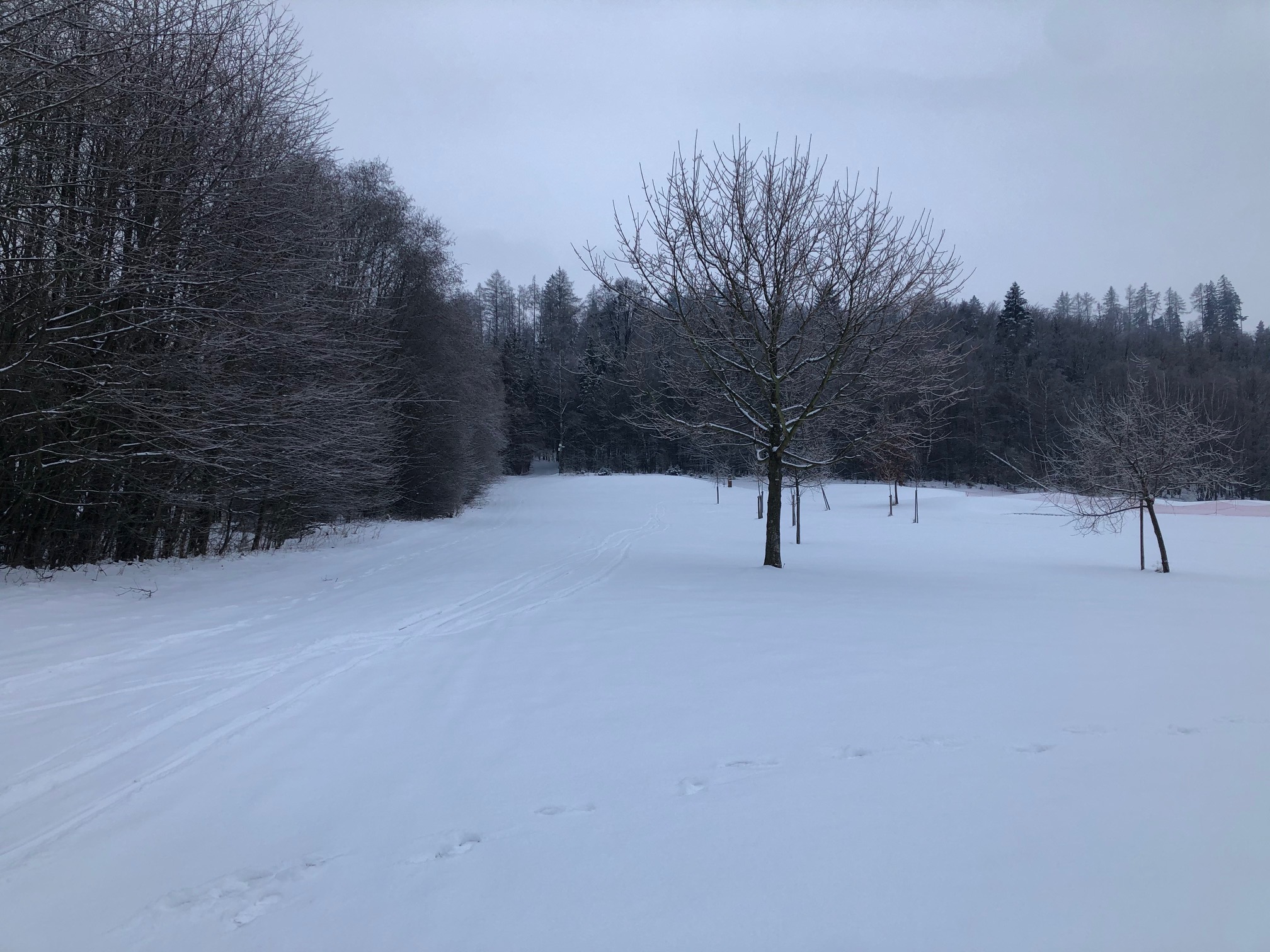 Aktuálně 16.1.2026